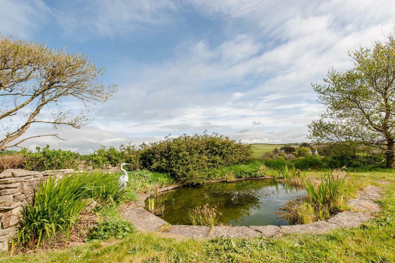 Апартаменты The Wild Atlantic Hideaway Клонакилти Экстерьер фото